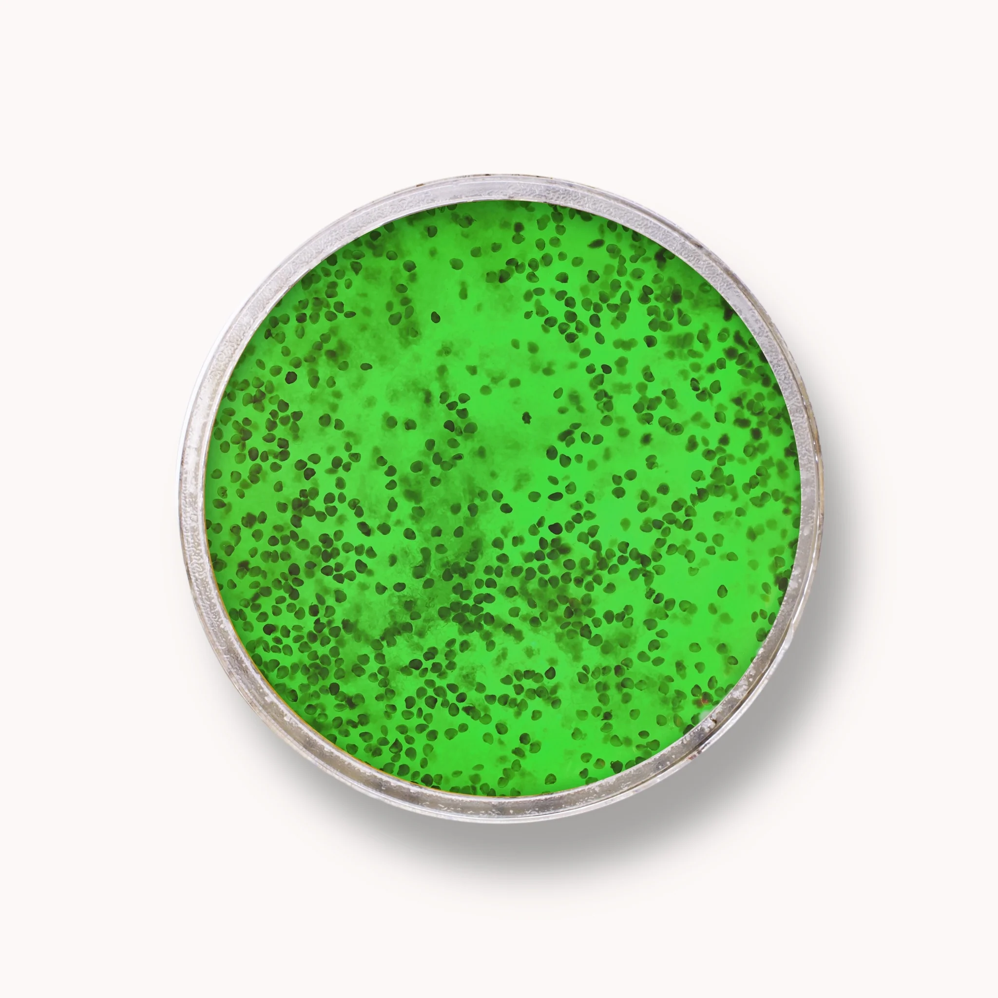 Exfoliant Zahăr Jeleu - Kiwi - Image 4